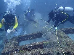Рифы у Рачи-Ной очистили от рыболовных сетей