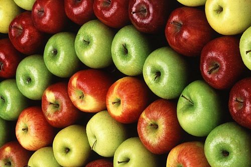 А вы сможете отличить генетически модифицированное яблоко от обычного? Фото: Kabsik Park