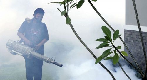 Борьба с разносчиками денге на Филиппинах. Фото: Sanofi Pasteur