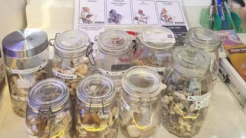 Псилоцибиновые грибы разных сортов изъяли в Патонге. Фото: Patong Police